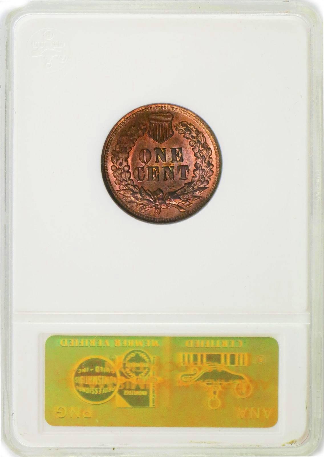 51-Days-Of-Flying-Eagle-And-Indian-Head-Cents!---Part-4!!