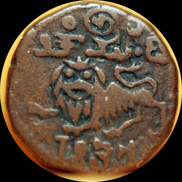 Post-Your-Lion-Coins!