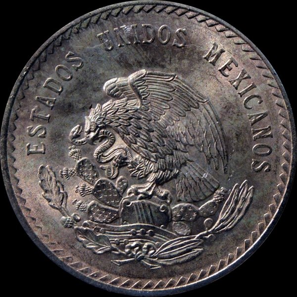 Post-Your-Huge-Coins!