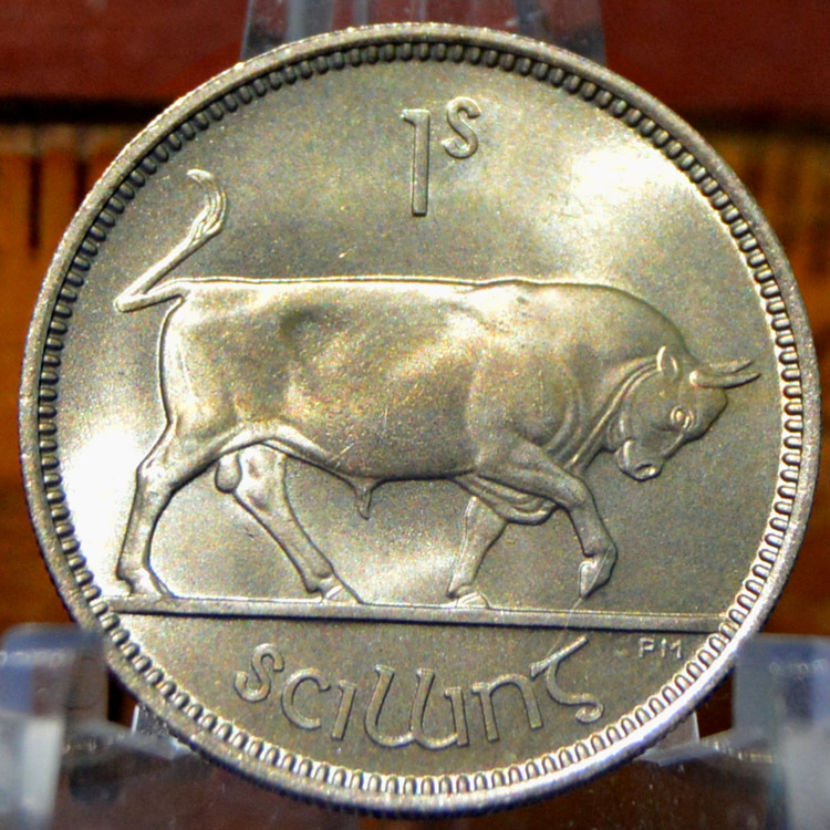 Continuing-List-To-Show-Everyones-Latest-Acquisitions