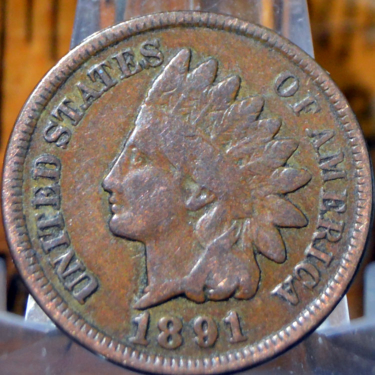 Indians-For-A-Buck---1891-Indian-Head-Cent-For-Grading