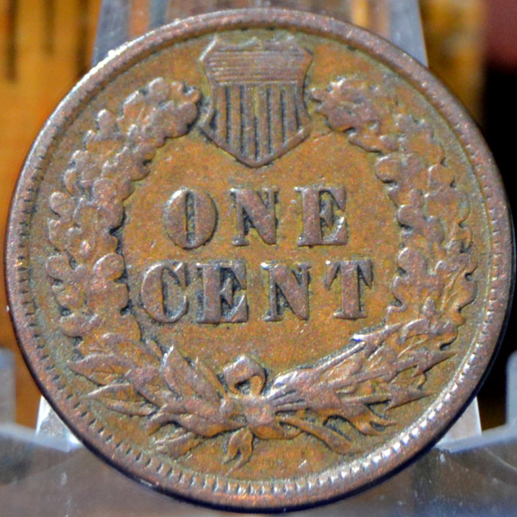 Indians-For-A-Buck---1891-Indian-Head-Cent-For-Grading