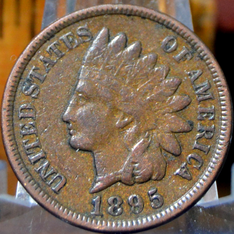 Indians-For-A-Buck---1895-Indian-Head-Cent-For-Grading