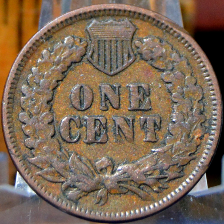 Indians-For-A-Buck---1895-Indian-Head-Cent-For-Grading