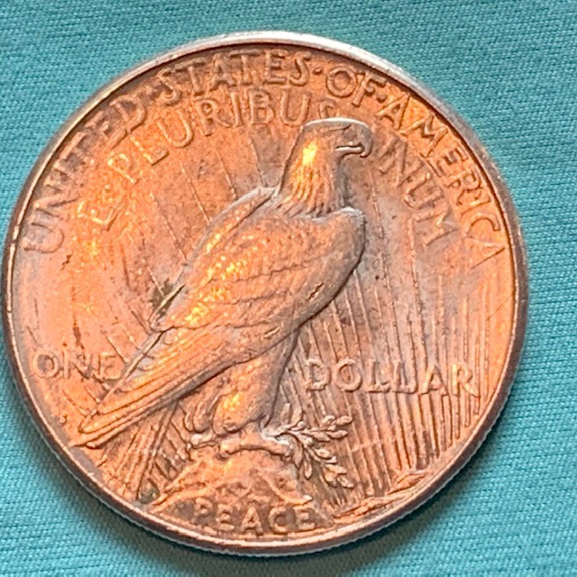 Morgan-1884-S--And-Peace-1923-Grading