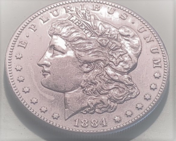 Morgan-1884-S--And-Peace-1923-Grading