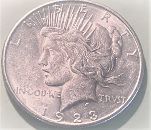 Morgan-1884-S--And-Peace-1923-Grading