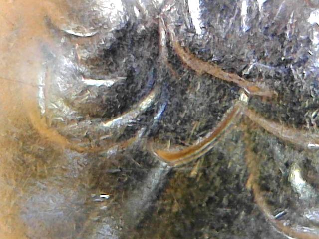 2016-S-Kentucky-?is-This-A-Doble-Ear-Or-MD.-Espert-Help-Please-Comment