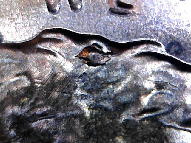 2019-Lincoln-?looks-Like-Die-Problem-Is-This-Collectible-For-Error-Please