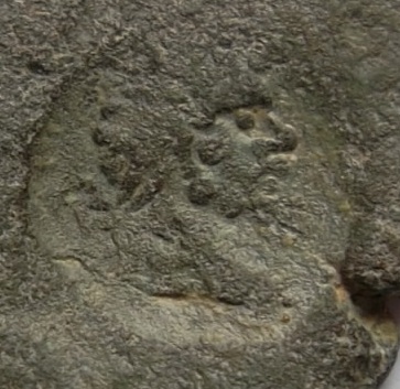 Countermark--On-The-Coin-Of--Kingdom-Of-Bosporus