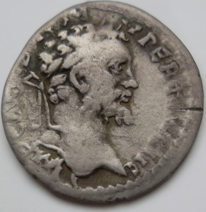 S.-Severus-Denarius-Laodicea-Ad-Mare-Mint-Ric-482-Liberta-Avg