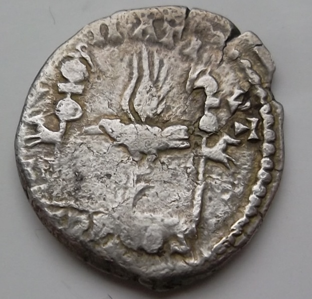 Legionary-Denarius-Of-Septimus-Severus-Legion-II-Ativt?