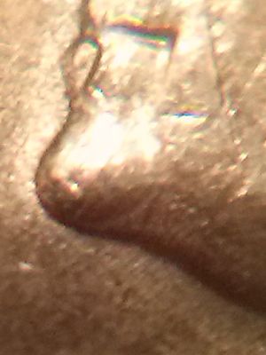 Wondering-About-These