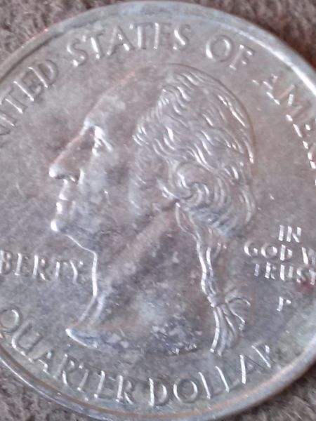 Florida-State-Quarter-What-Is-This-Error?