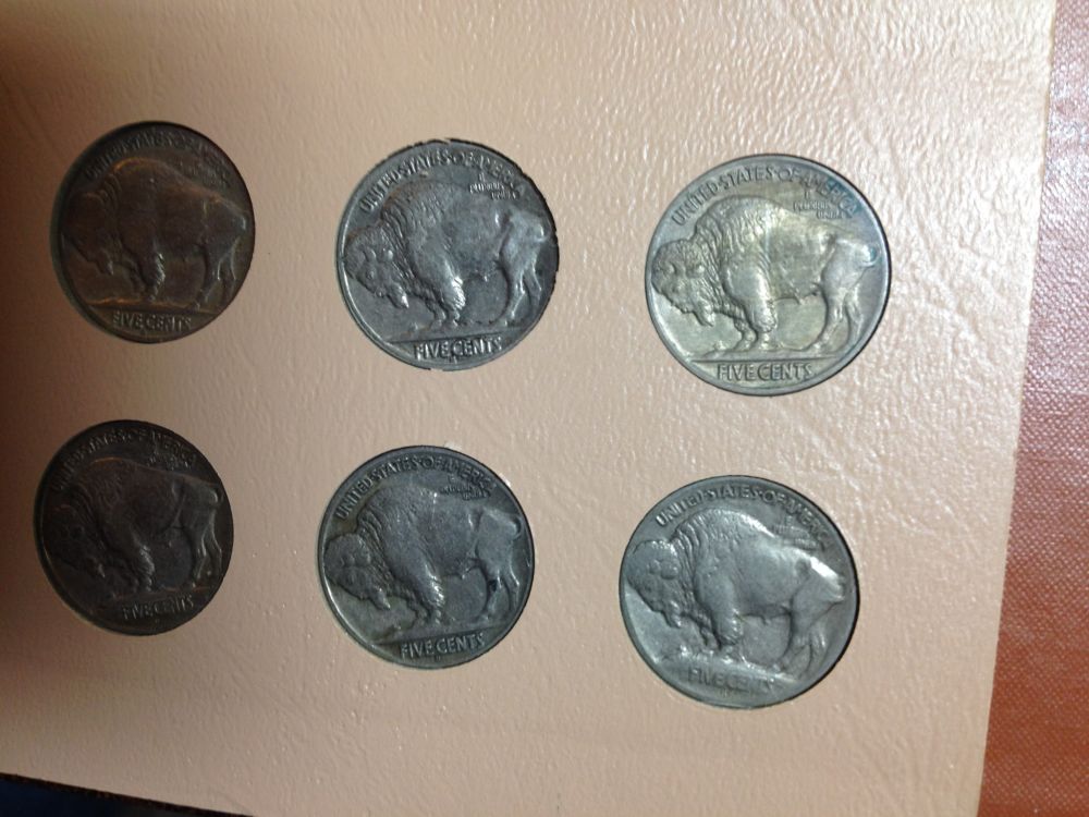 My-Buffalo-Nickel-Set!---Nice!