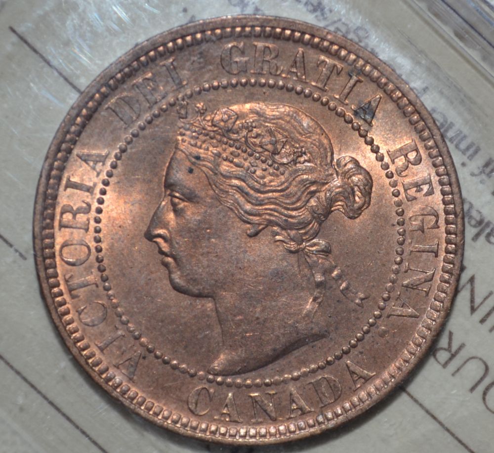 You-Vs-ICCS:-1901-Large-Cent