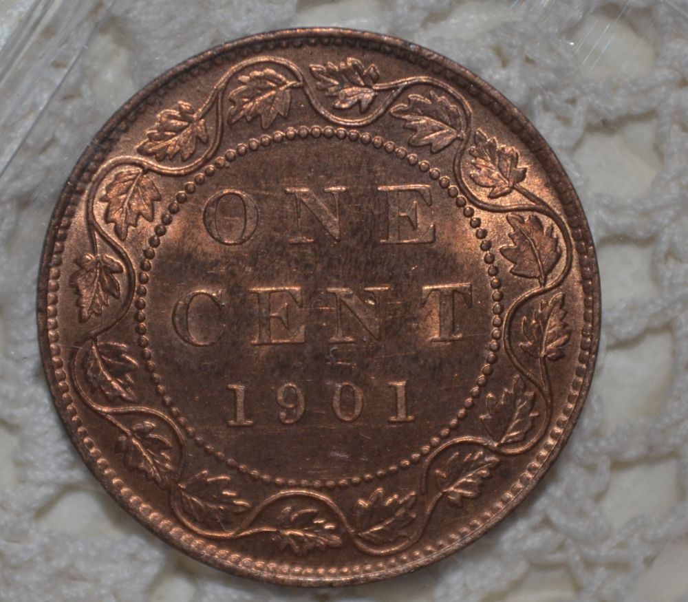 You-Vs-ICCS:-1901-Large-Cent