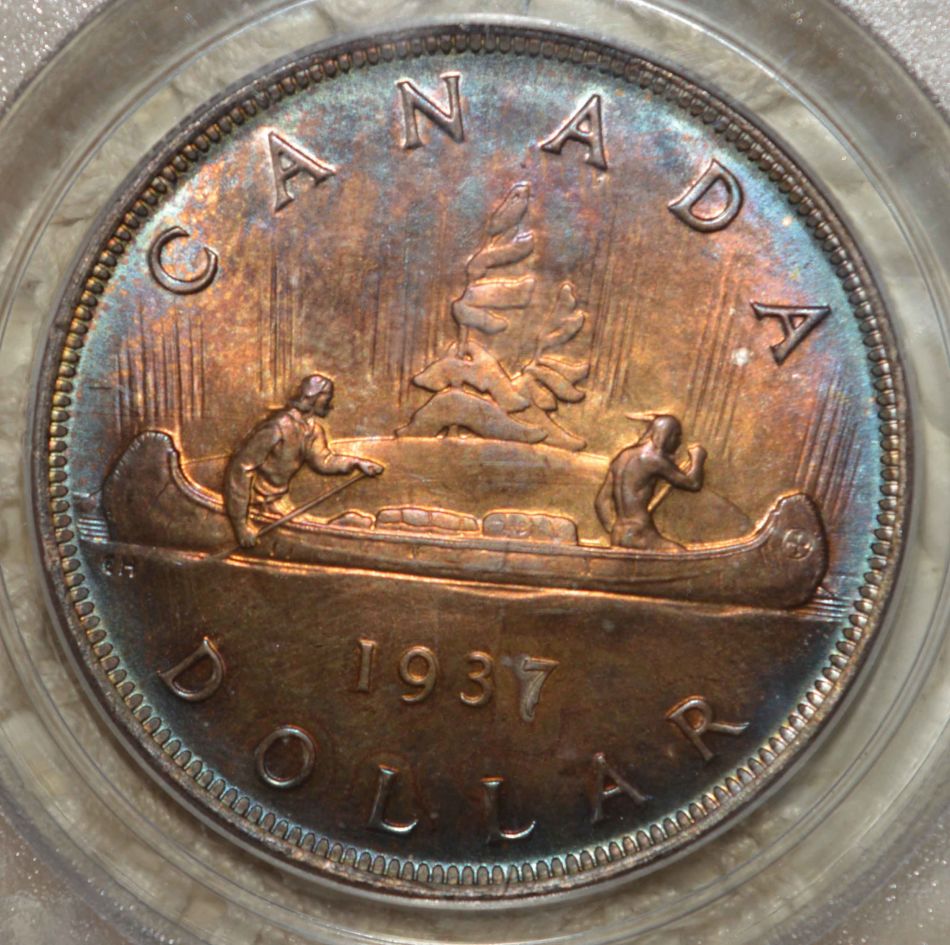 1937-Matte-Specimen-Dollar.-Really-A-Sp?