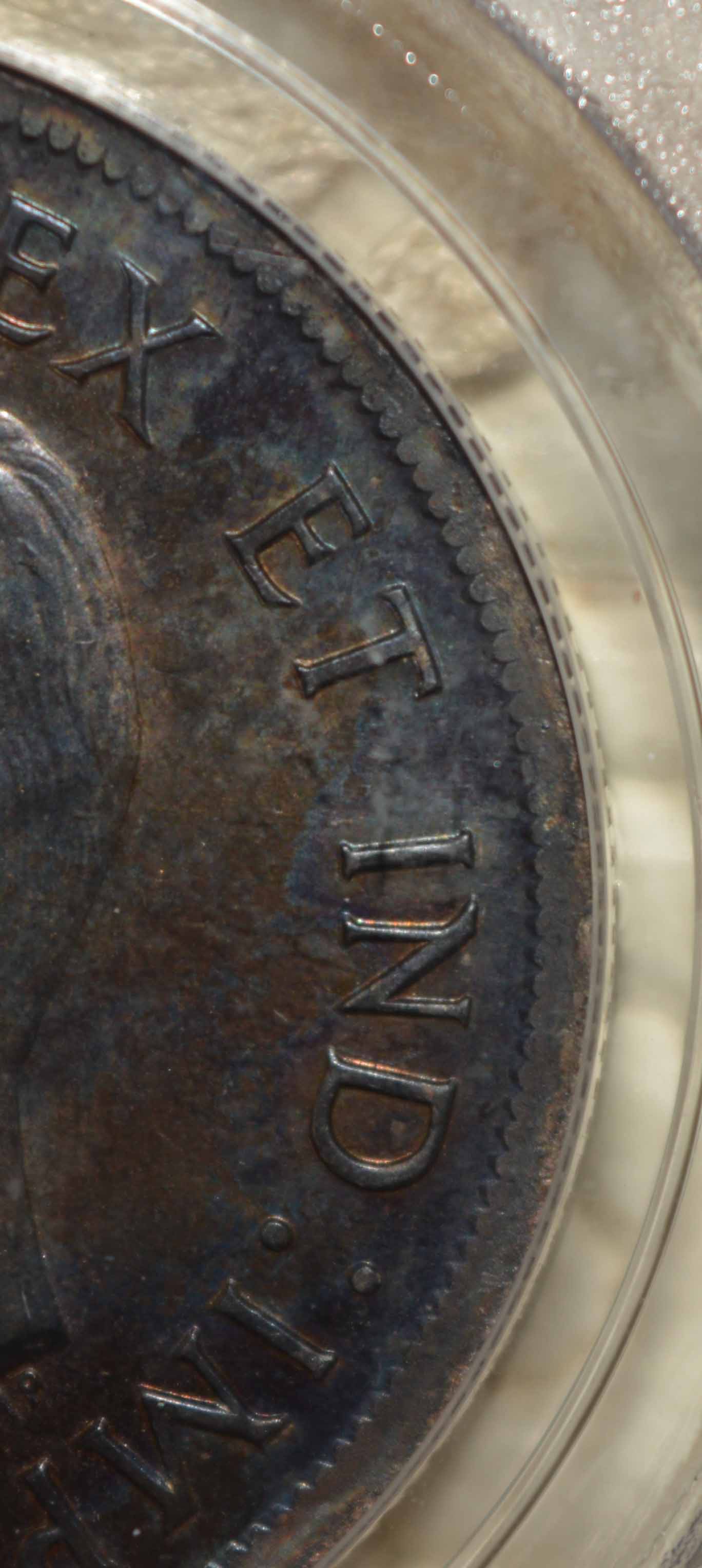 1937-Matte-Specimen-Dollar.-Really-A-Sp?