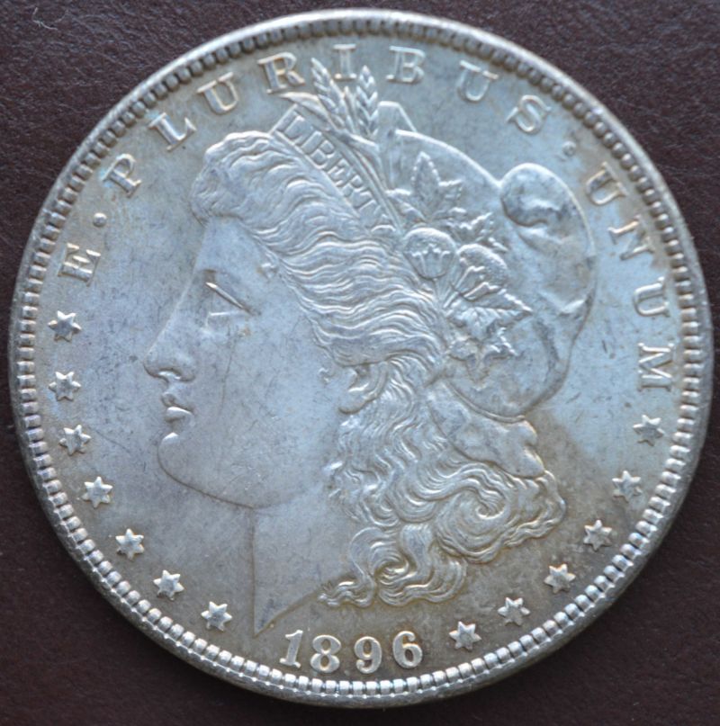 1896-Morgan-Grading-Help
