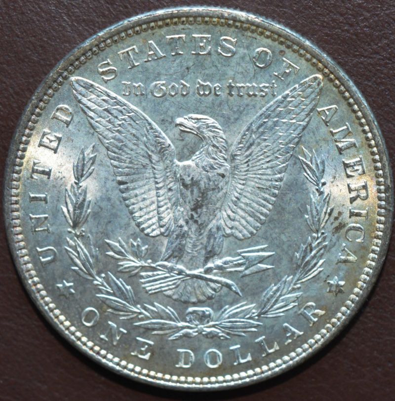 1896-Morgan-Grading-Help