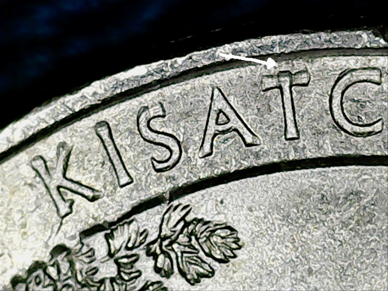2015-Kisatchie-Quarters-With-A-Tack-Hammer-Like-T