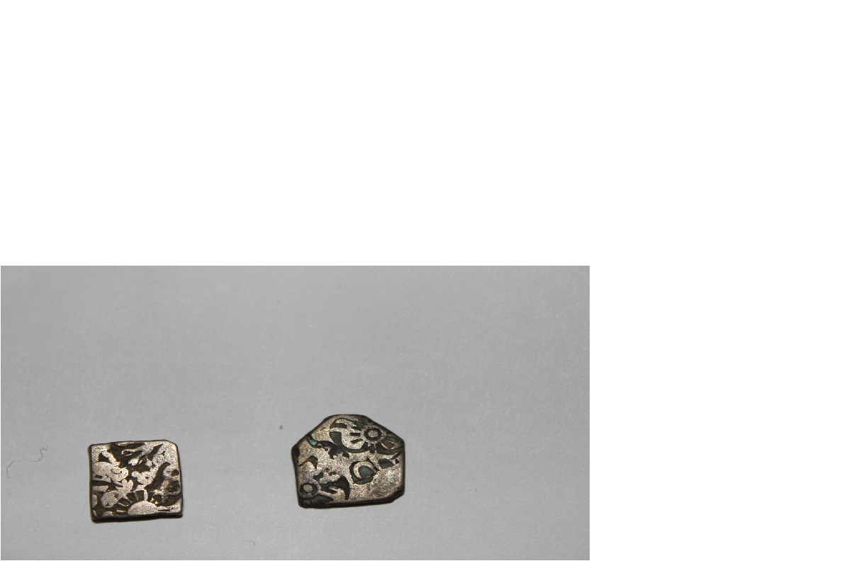 Cobb-Coin?-Type?-|-Mauryan-Empire-Karshapanas