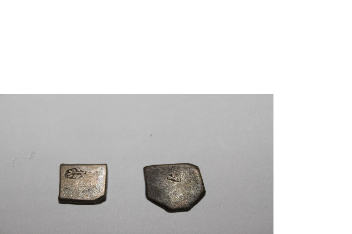 Cobb-Coin?-Type?-|-Mauryan-Empire-Karshapanas