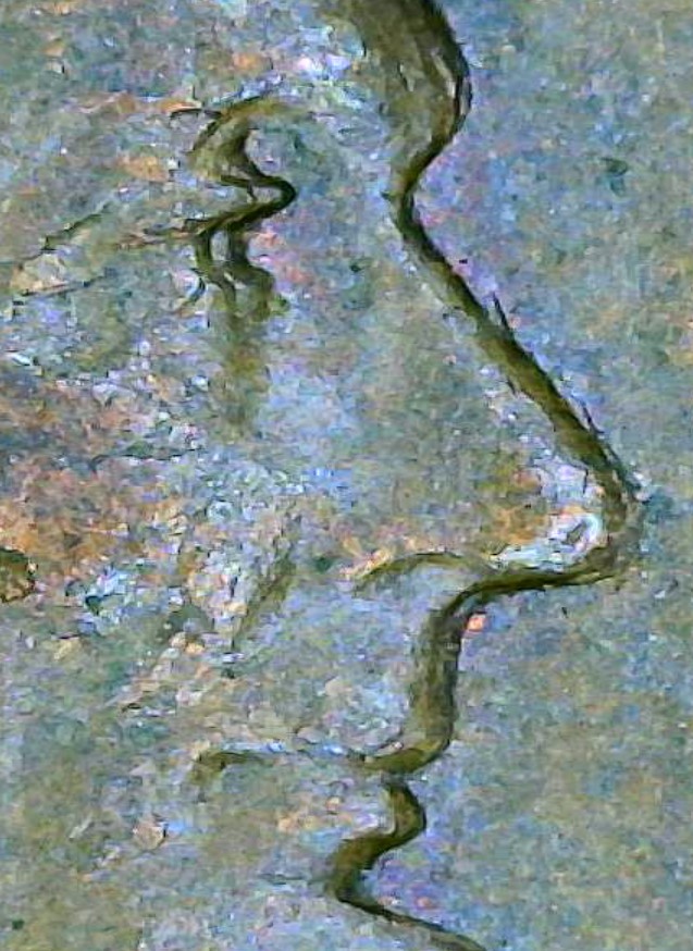 1955-D-Penny/Cent-DDO.--Just-Want-To-Share-1-Of-My-3-Finds-In-The-Last-36-Hours.--Thank-You.