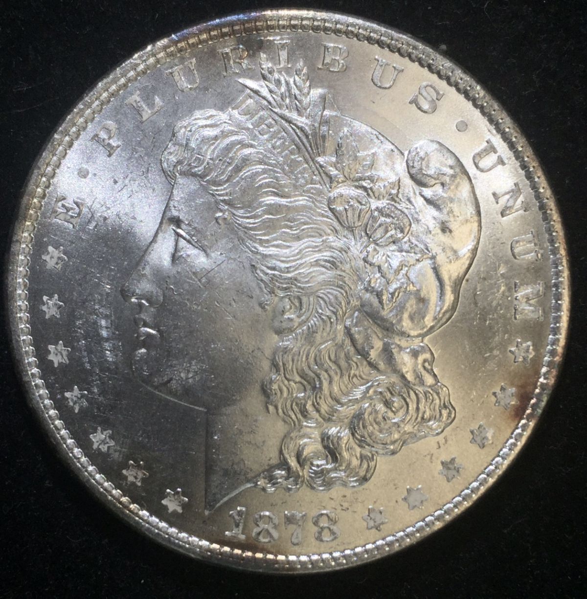 Grade-On-This-1878-8TF-Morgan?