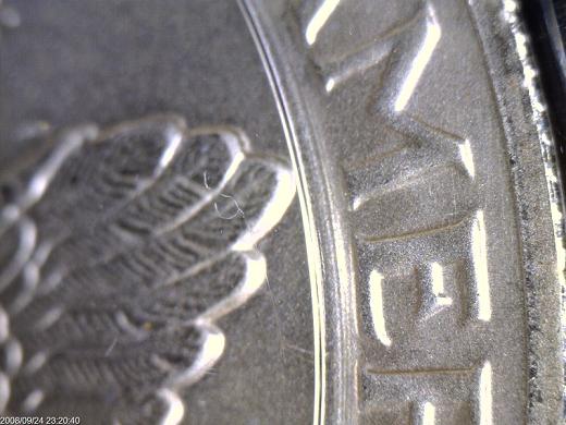 Unusual-Silver-Eagle-Part-II