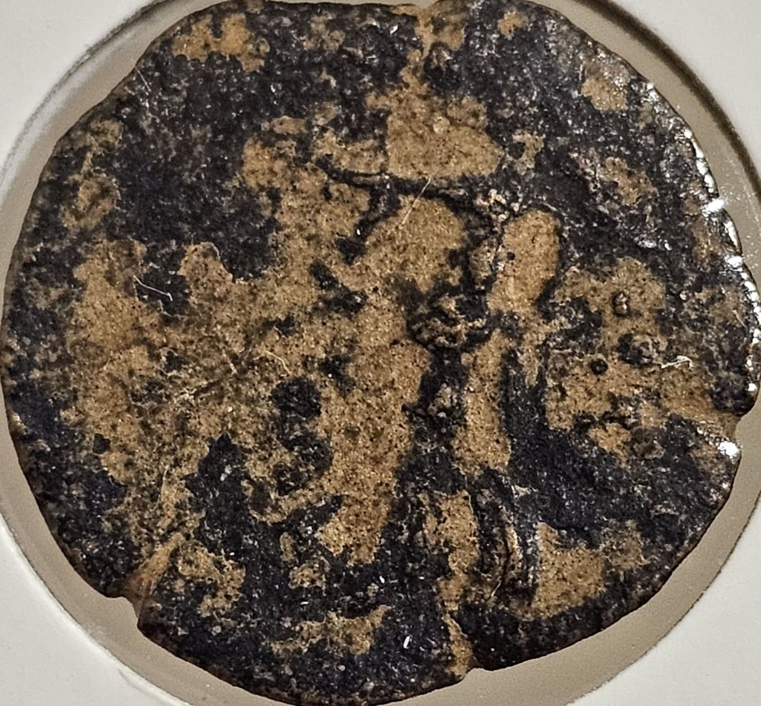 Help-With-Identification-Greek?