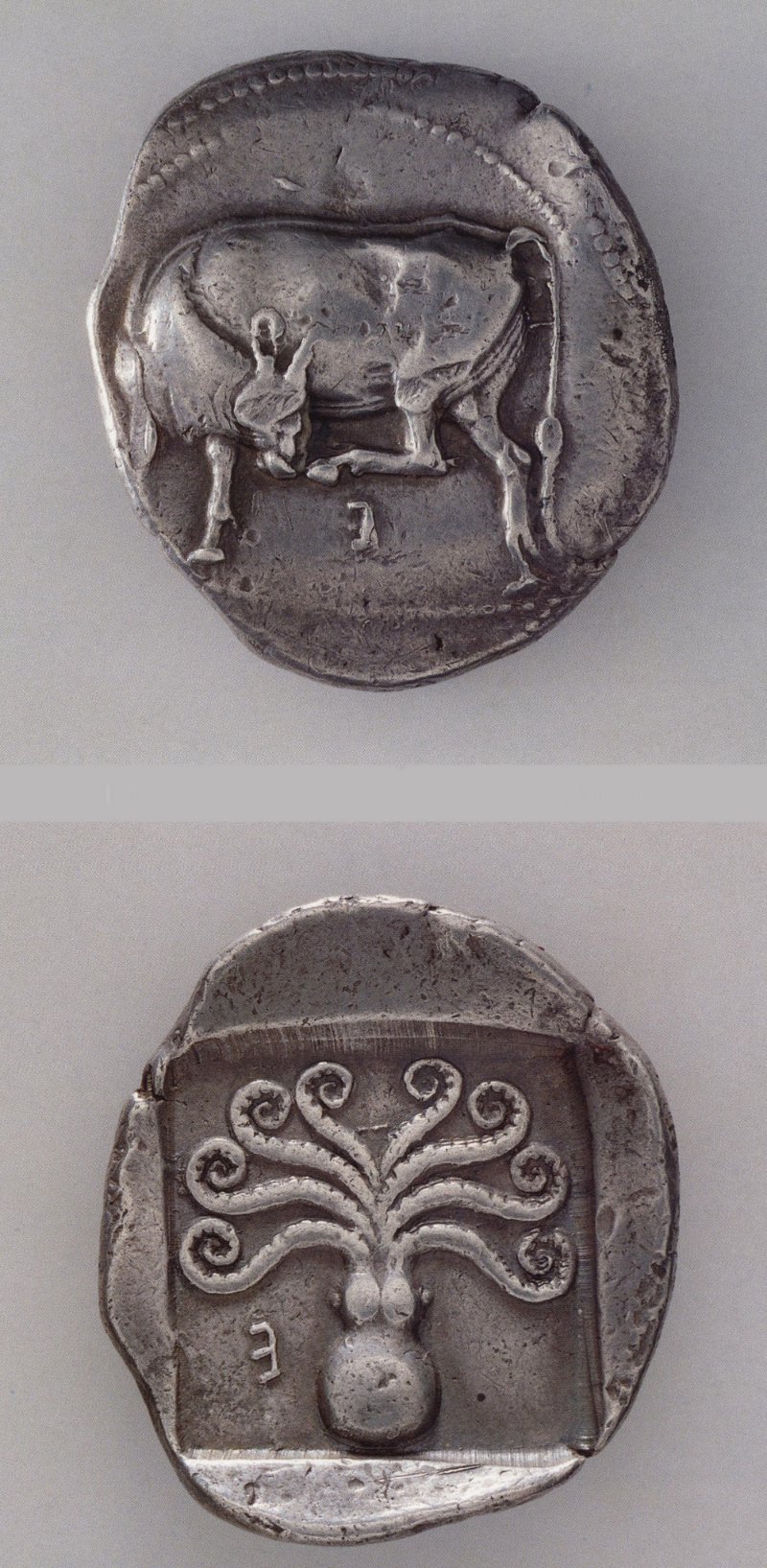 Celtic-Coin,-Is-It-Fake?