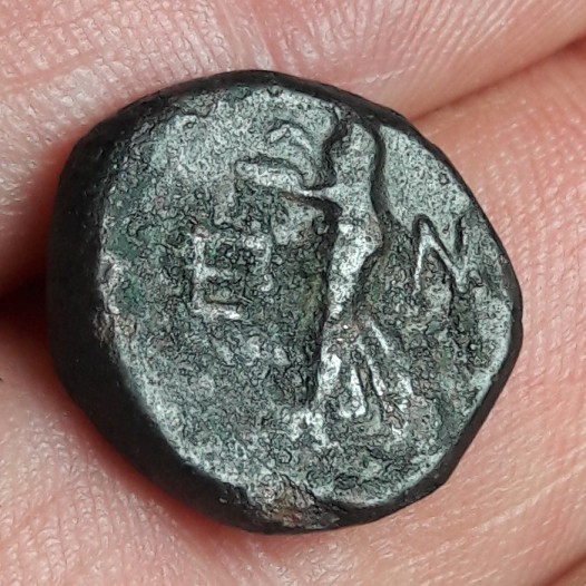 Help-ID-On-Small-Greek-Ae
