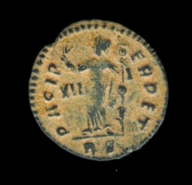 Rare-Constantine-˝-Follis