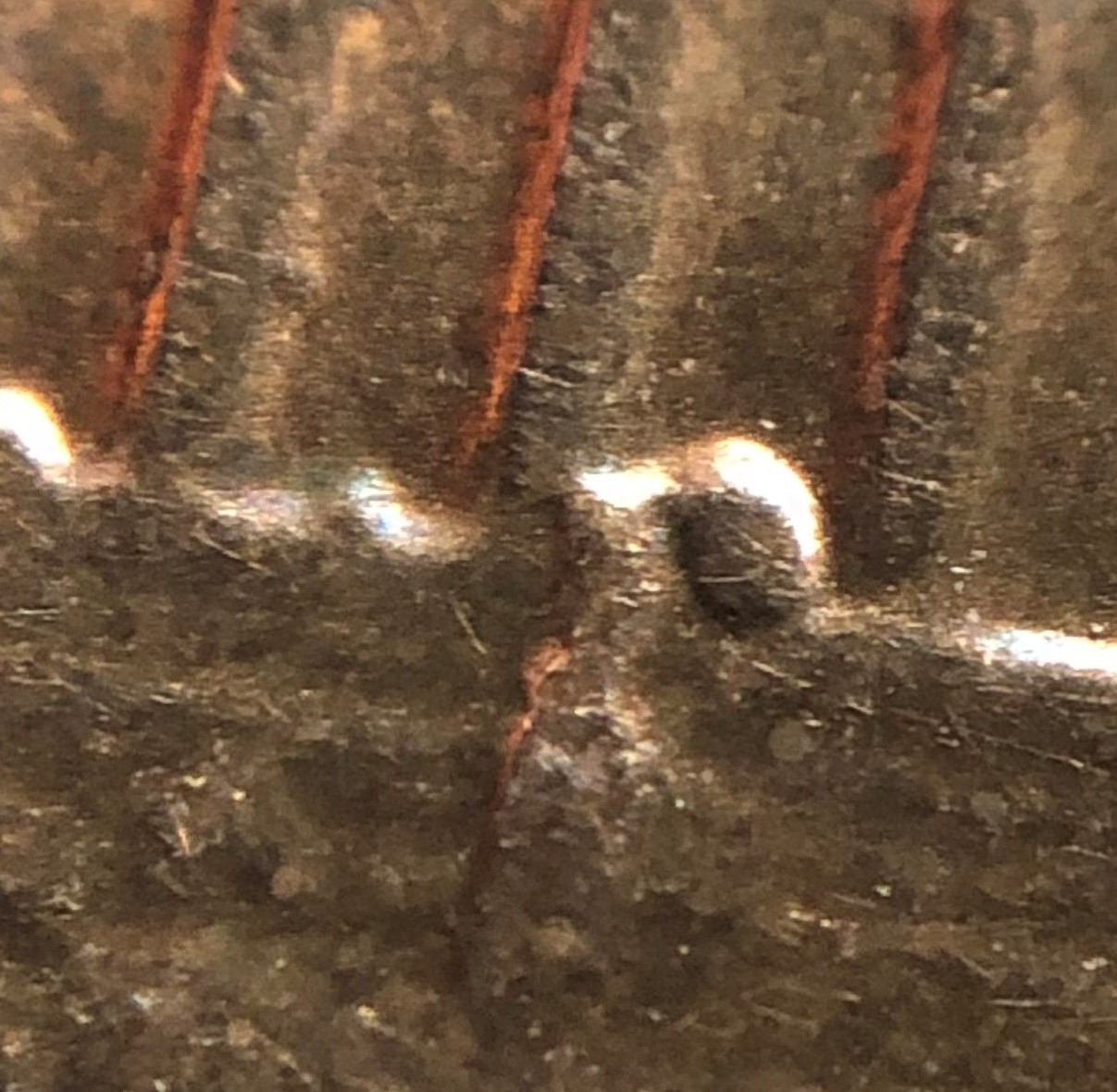 1982-One-Cent-Error-Or-Not