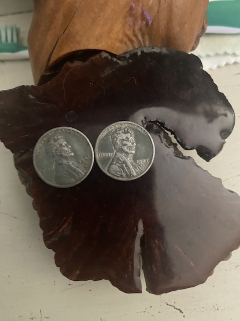 Are-My-Wheat-Pennies-Worth-Anything