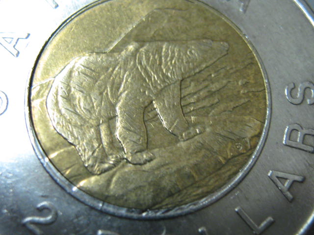 2009-Toonie---Error-For-Sure