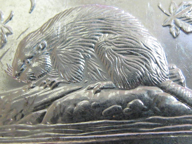 2008-Odd-Belly