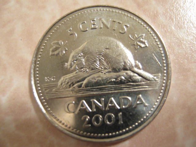 Another-Bare-Back-Beaver