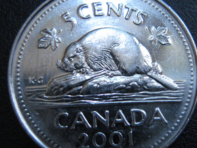 2001-Nickel-Error-On-Bugtail-Variety