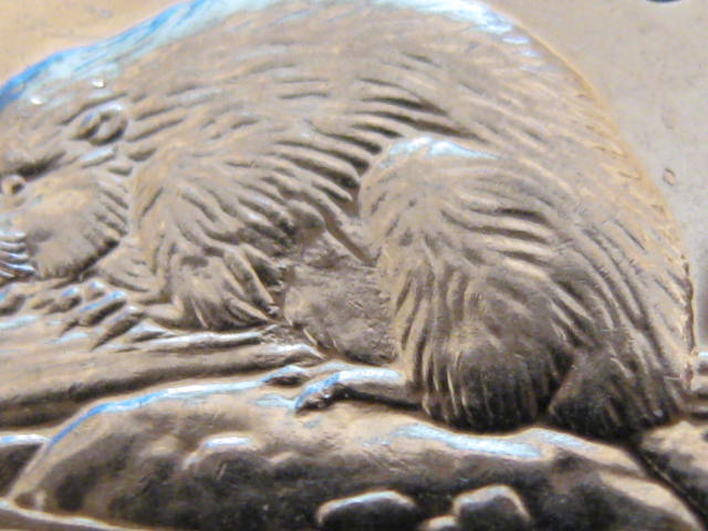 2001-Nickel-Error-On-Bugtail-Variety
