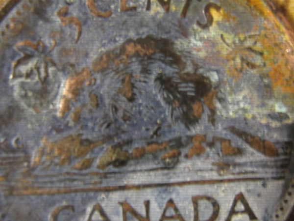 This-One-Is-A-1989-5-Cents