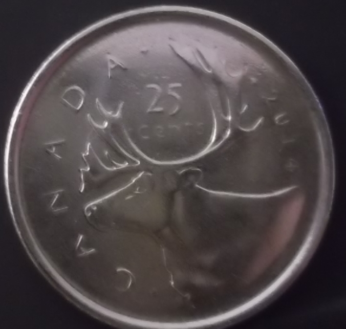 2014-Quarter-From-Mint-Roll-Combination-Of-Errors