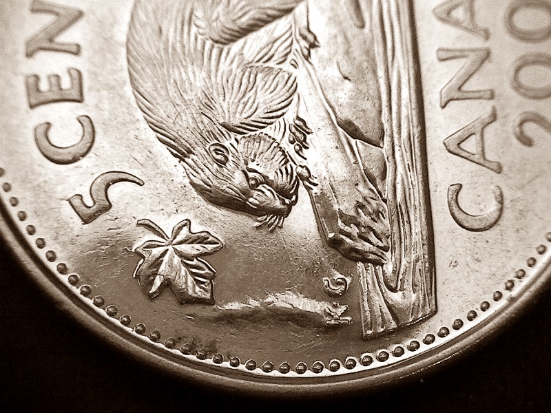 2007-Nickel-With-Raised-Hump
