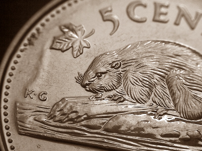 2007-Nickel-With-Raised-Hump