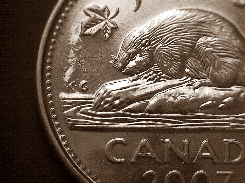 2007-Nickel-With-Raised-Hump