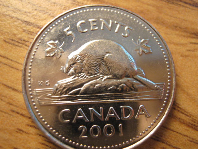 2001-P-5c-Abraded-Die-Design-Detail-Missing-On-Beaver