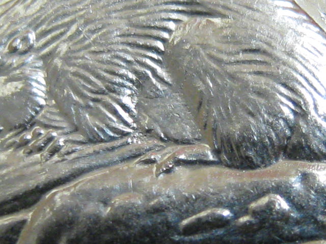 2001-P-5c-Abraded-Die-Design-Detail-Missing-On-Beaver