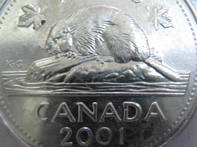 2001-P-5c-Abraded-Die-Design-Detail-Missing-On-Beaver